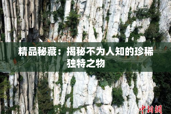 精品秘藏：揭秘不为人知的珍稀独特之物