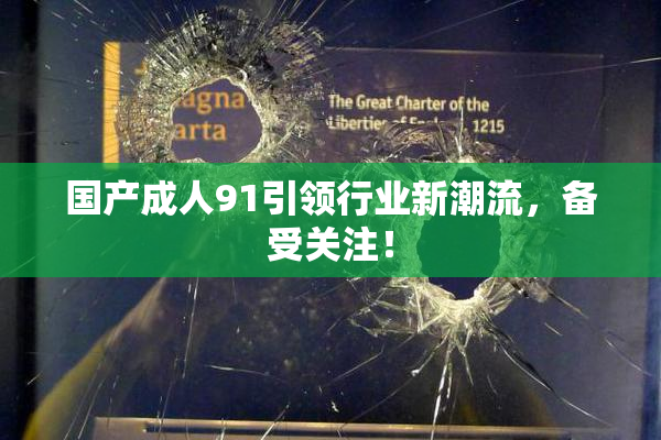 国产成人91引领行业新潮流，备受关注！