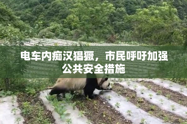 电车内痴汉猖獗，市民呼吁加强公共安全措施