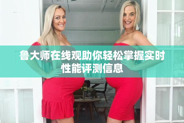 鲁大师在线观助你轻松掌握实时性能评测信息