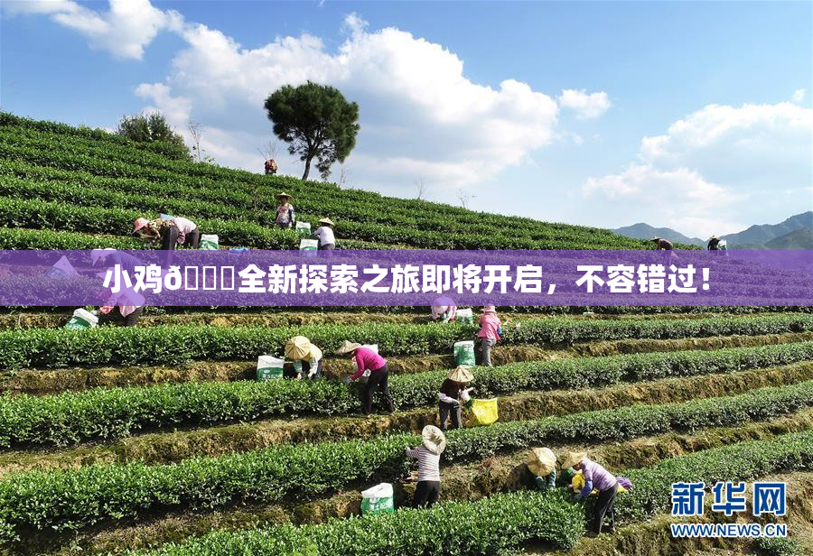 小鸡🐔全新探索之旅即将开启，不容错过！