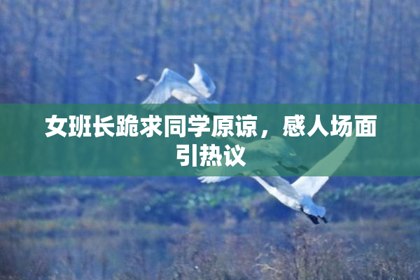 女班长跪求同学原谅，感人场面引热议