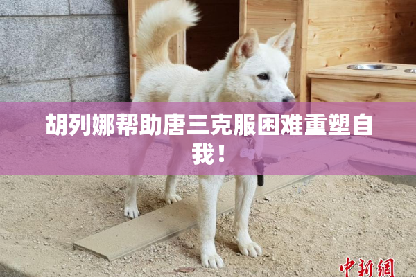 胡列娜帮助唐三克服困难重塑自我！