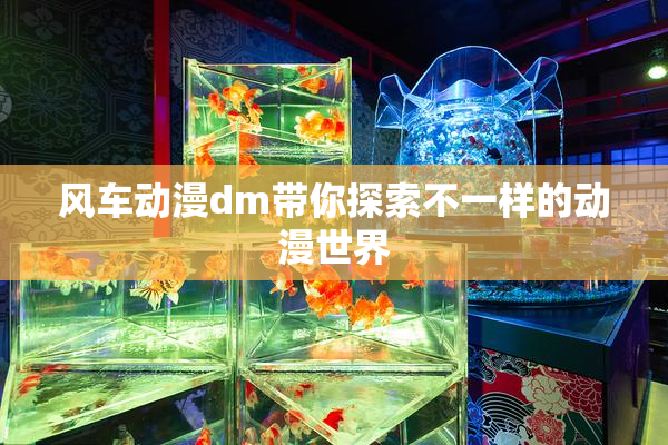 风车动漫dm带你探索不一样的动漫世界