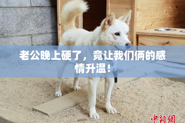 老公晚上硬了，竟让我们俩的感情升温！