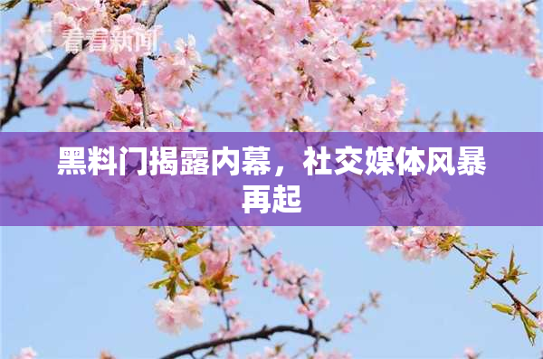 黑料门揭露内幕，社交媒体风暴再起