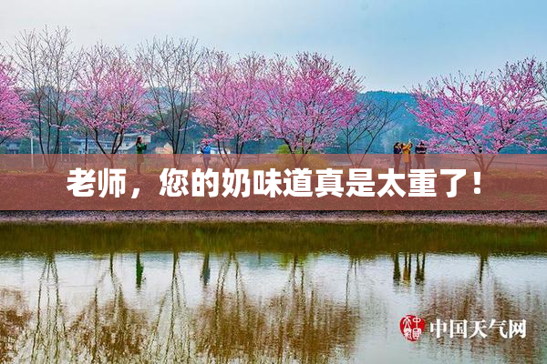 老师，您的奶味道真是太重了！