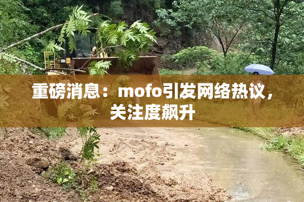重磅消息：mofo引发网络热议，关注度飙升