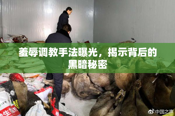羞辱调教手法曝光，揭示背后的黑暗秘密