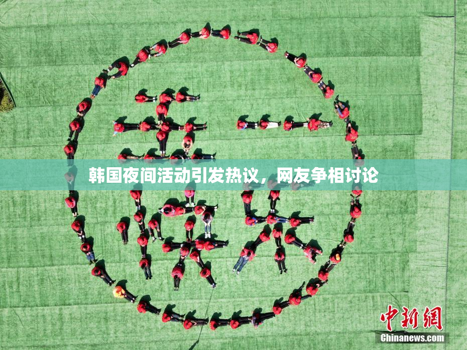 韩国夜间活动引发热议，网友争相讨论
