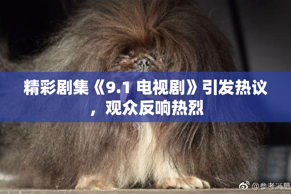 精彩剧集《9.1 电视剧》引发热议，观众反响热烈