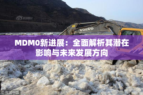 MDM0新进展：全面解析其潜在影响与未来发展方向