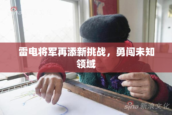 雷电将军再添新挑战，勇闯未知领域