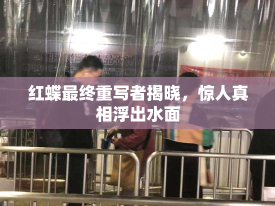 红蝶最终重写者揭晓，惊人真相浮出水面