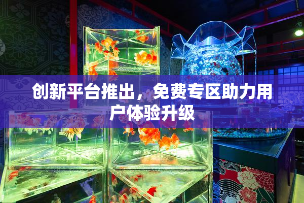 创新平台推出，免费专区助力用户体验升级