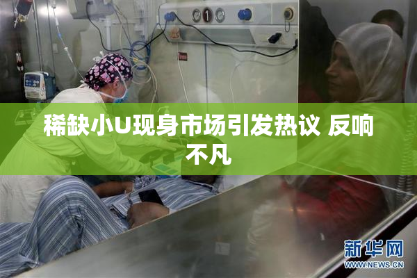 稀缺小U现身市场引发热议 反响不凡