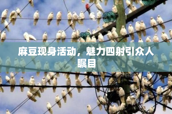 麻豆现身活动，魅力四射引众人瞩目