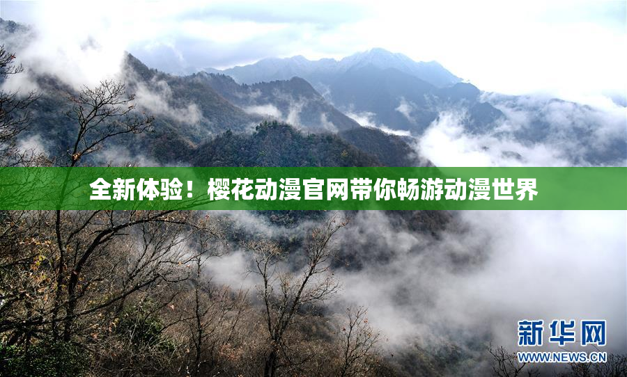 全新体验！樱花动漫官网带你畅游动漫世界