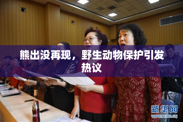熊出没再现，野生动物保护引发热议