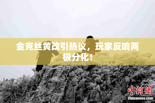 金克丝黄改引热议，玩家反响两极分化！