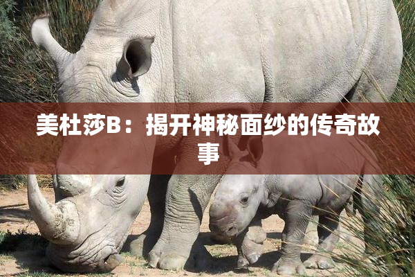 美杜莎B：揭开神秘面纱的传奇故事