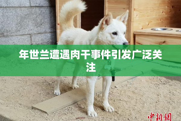 年世兰遭遇肉干事件引发广泛关注