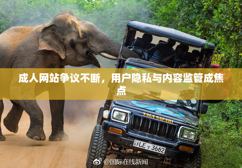 成人网站争议不断，用户隐私与内容监管成焦点