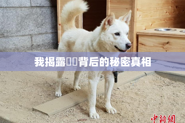 我揭露妺妺背后的秘密真相
