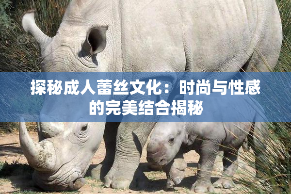 探秘成人蕾丝文化：时尚与性感的完美结合揭秘