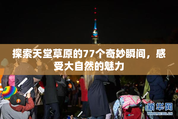 探索天堂草原的77个奇妙瞬间，感受大自然的魅力