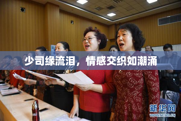 少司缘流泪，情感交织如潮涌