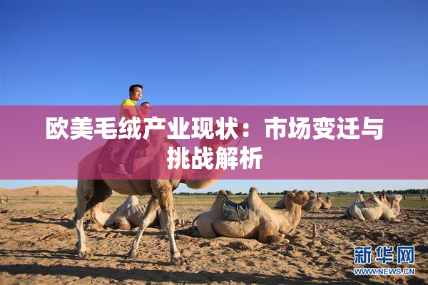 欧美毛绒产业现状：市场变迁与挑战解析