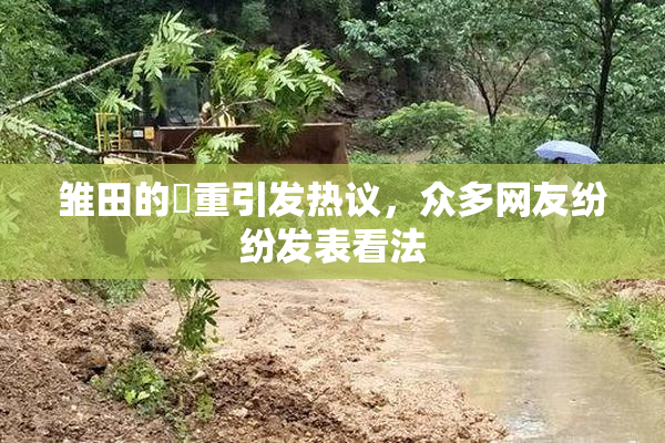 雏田的婬重引发热议，众多网友纷纷发表看法