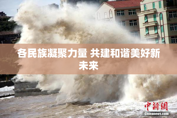 各民族凝聚力量 共建和谐美好新未来