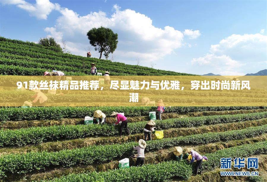 91款丝袜精品推荐，尽显魅力与优雅，穿出时尚新风潮