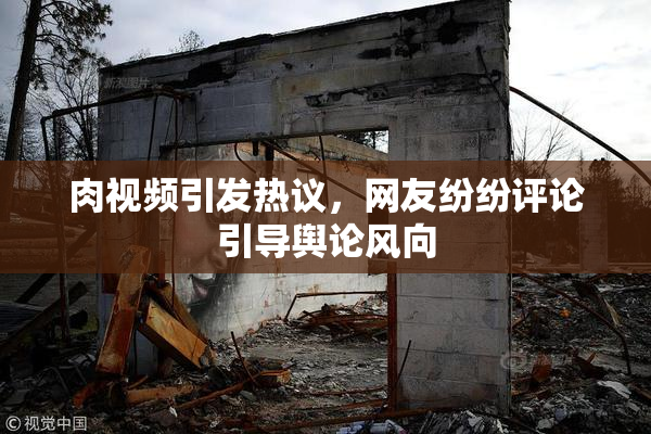 肉视频引发热议，网友纷纷评论引导舆论风向