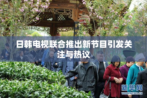 日韩电视联合推出新节目引发关注与热议