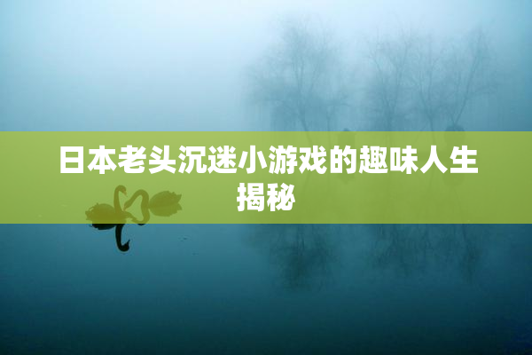 日本老头沉迷小游戏的趣味人生揭秘