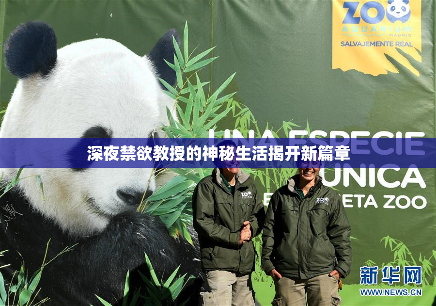 深夜禁欲教授的神秘生活揭开新篇章