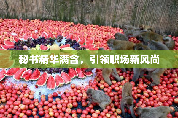 秘书精华满含，引领职场新风尚