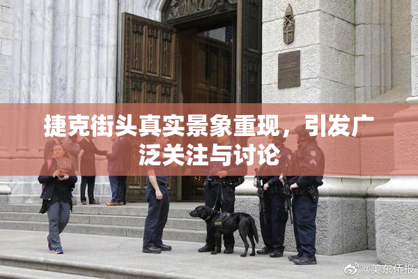 捷克街头真实景象重现，引发广泛关注与讨论