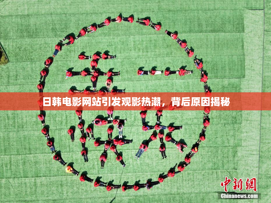 日韩电影网站引发观影热潮，背后原因揭秘