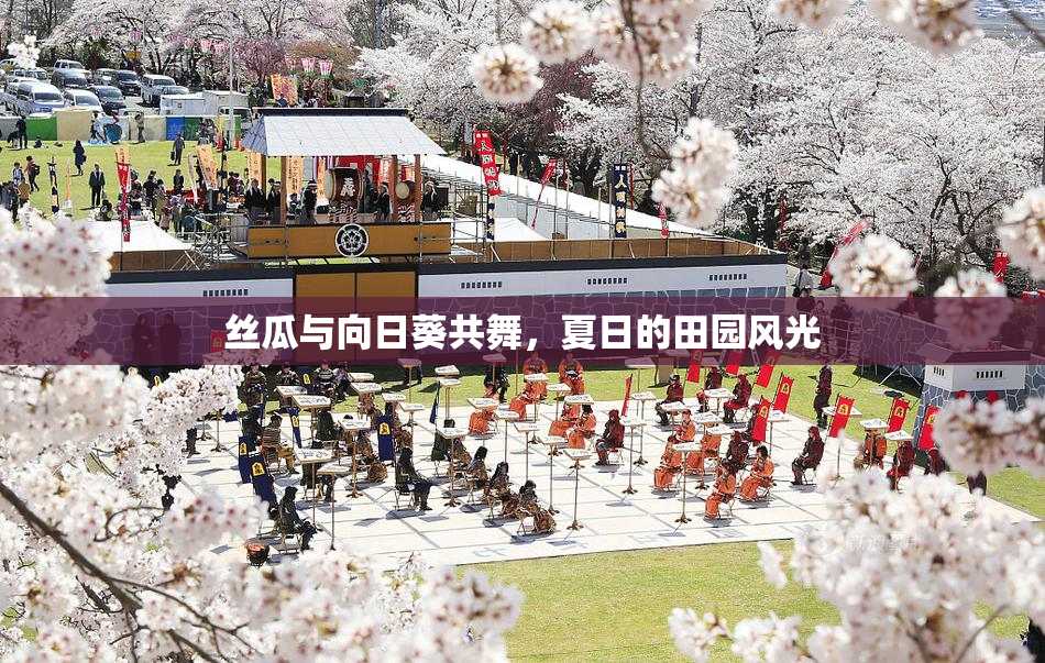 丝瓜与向日葵共舞，夏日的田园风光