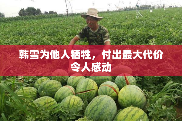 韩雪为他人牺牲，付出最大代价令人感动