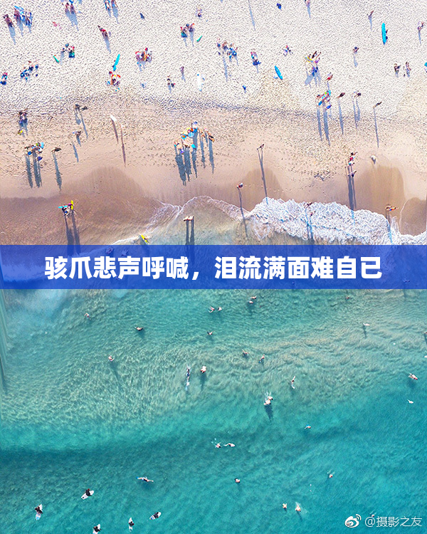骇爪悲声呼喊，泪流满面难自已