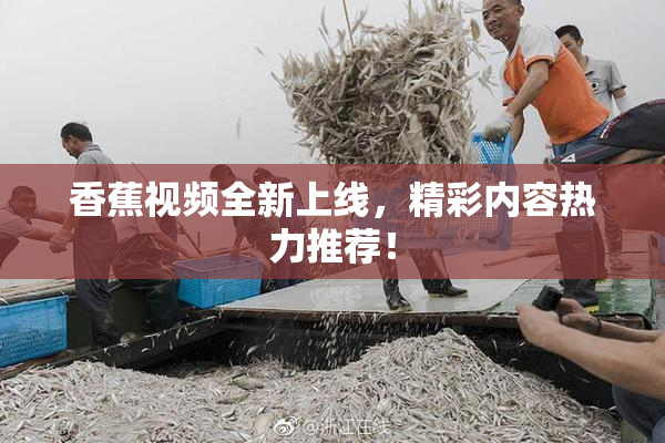 香蕉视频全新上线，精彩内容热力推荐！