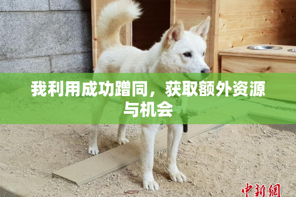 我利用成功蹭同，获取额外资源与机会