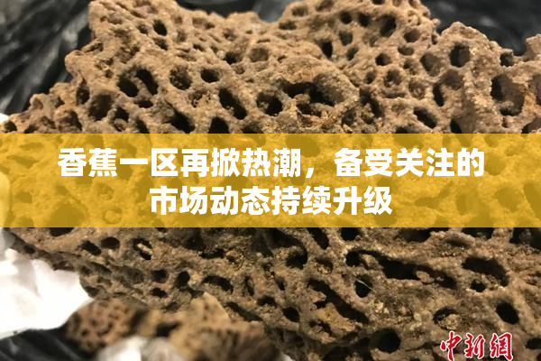 香蕉一区再掀热潮，备受关注的市场动态持续升级