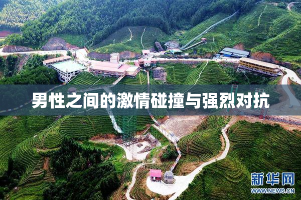 男性之间的激情碰撞与强烈对抗