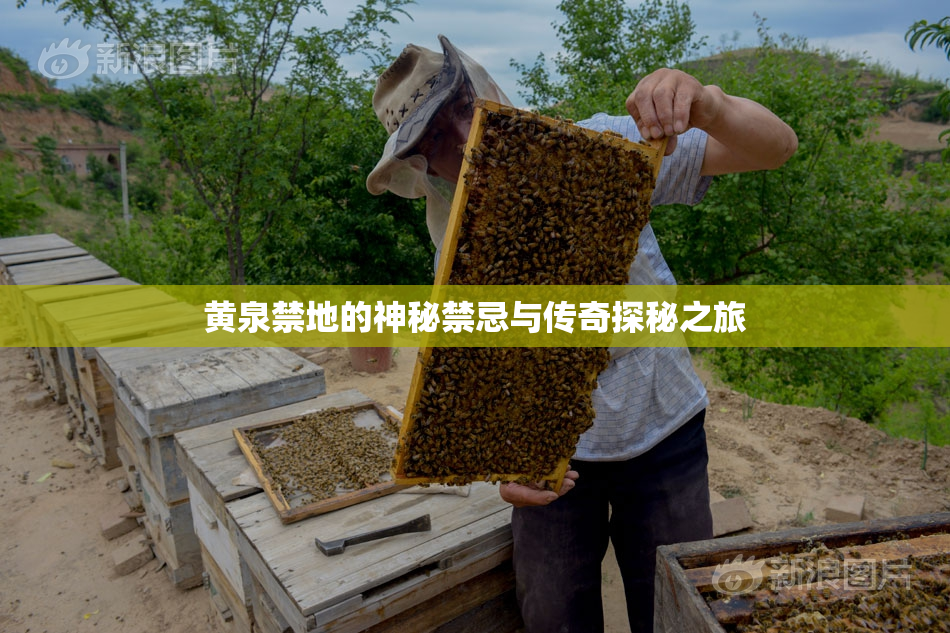 黄泉禁地的神秘禁忌与传奇探秘之旅